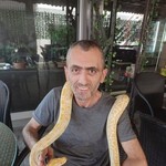 Artak, 50